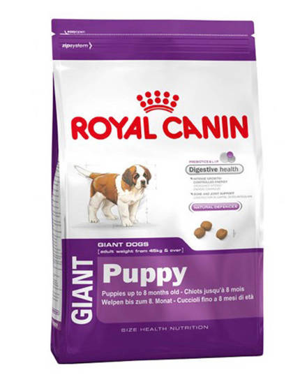 Picture of RCVCN PUPPY GIANT DOG         