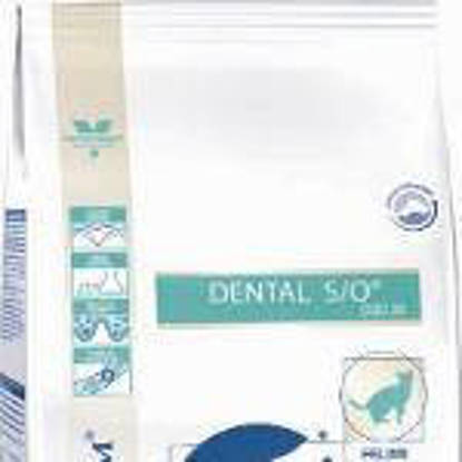 Picture of Royal Canin Cat Dental S/O 1.5kg