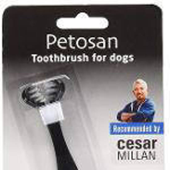 Picture of Petosan Toothbrush Toy Dog/pupp
